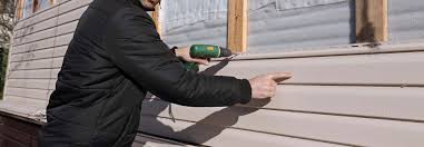 Best Vinyl Siding Installation  in Fresno, TX